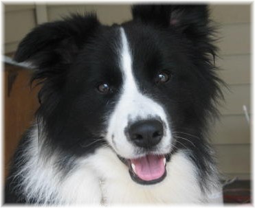 Braeyden at 1 yr old