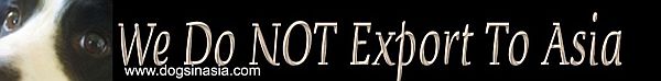click this logo for more information on Dogs in Asia 