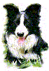 Wilsong's Julee