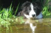 Braeyden in Pond