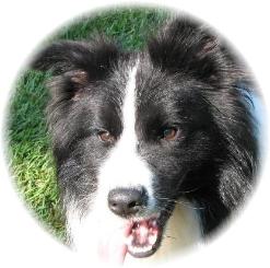 Mr Braeyden, My SweetHeart 