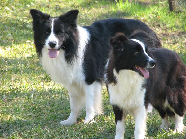 Braeyden & Glory 
