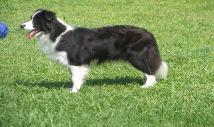 Glory standing at 1 yr old