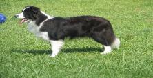 Glory standing at 1 yr old