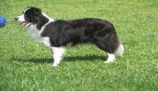Glory standing at 1 yr old