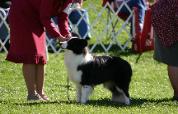Julee at BCSA 2007