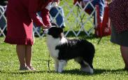 Julee BCSA 2007