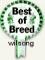top quality wilsong border collies 