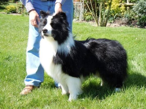 Dykinta Made You Look