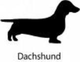 dachshund button gif